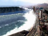  TSUNAMI HAITI ENERGY DRINK